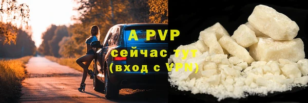 сатива Баксан