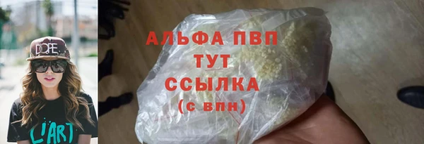сатива Баксан