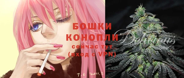 сатива Баксан