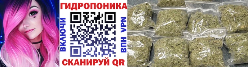 хочу наркоту  omg   Бошки марихуана SATIVA & INDICA  Лобня 